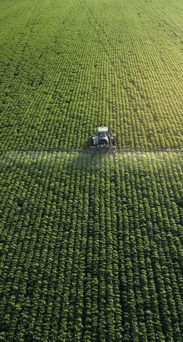 Tracking shot. Drone point of view of a Tractor spraying on a cultivated field. Small Business.