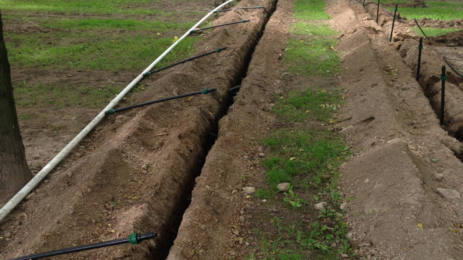 pictures of orchard irrigation installation (14)